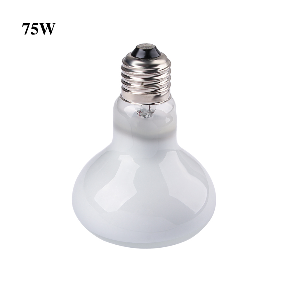 Basking Bulb Halogen - Lampu Pemanas Kura-kura, Lampu Halogen, Lampu