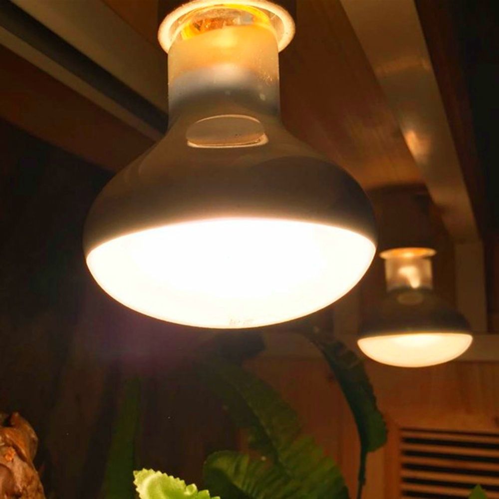 Lampu Pemanas Amfibi Lampu UVA - Basking Bulb Halogen ulasan dan harga