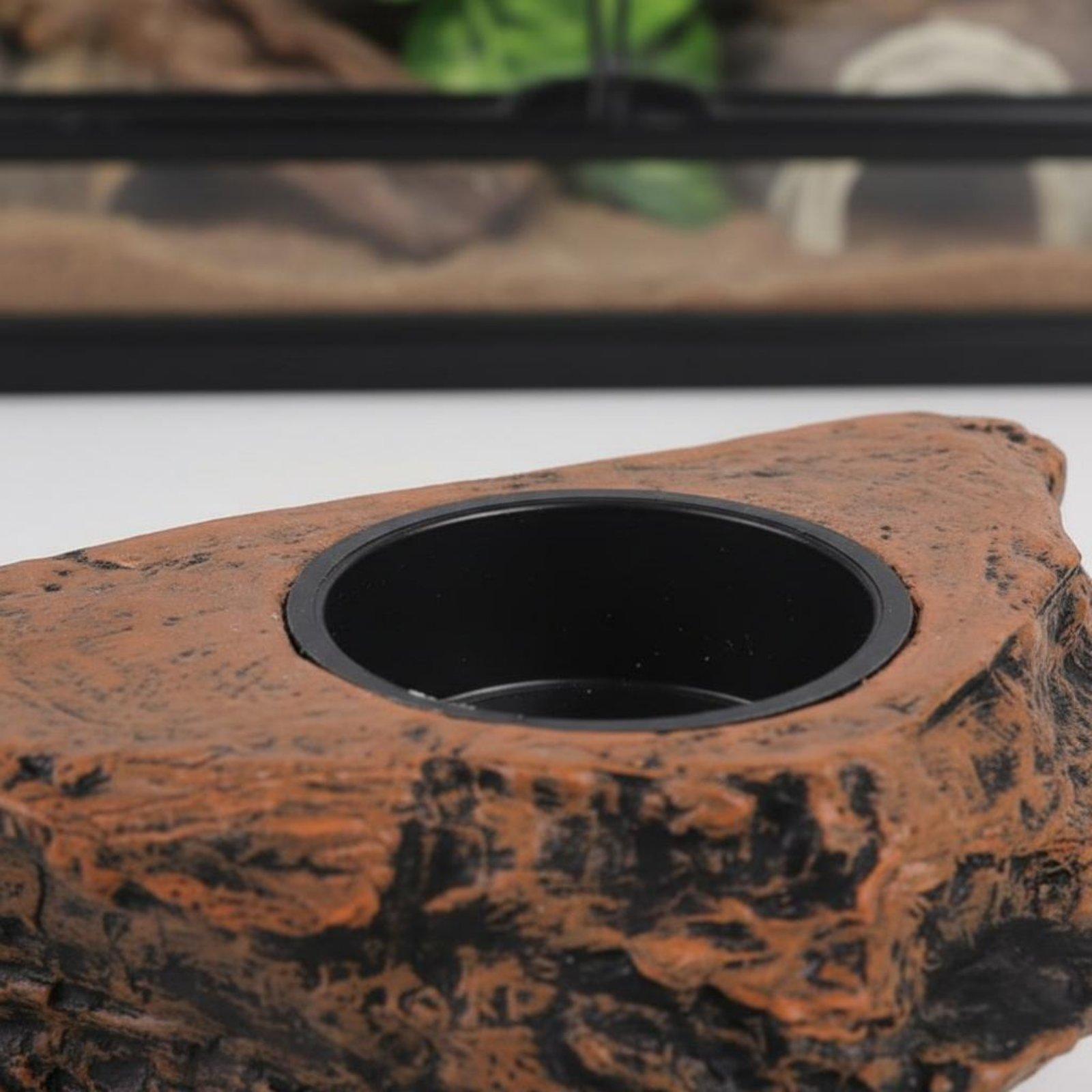 Rak Makanan dan Air untuk Toke - Water Dish Reptile ulasan dan harga
