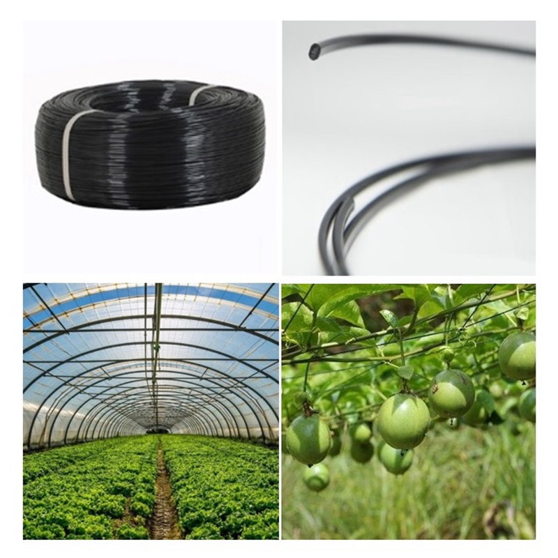 50m Kawat Baja Plastik untuk P - Vine Climbing Plastic ulasan dan harga