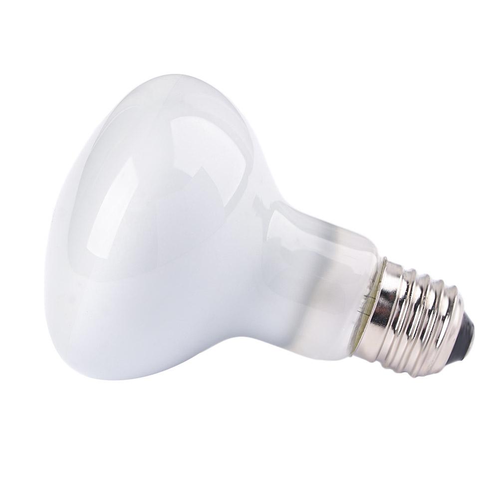 Pengontrol Suhu Amfibi, Pemana - Basking Bulb Halogen ulasan dan harga
