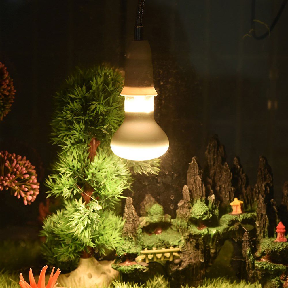 Pengontrol Suhu Amfibi, Pemana - Basking Bulb Halogen ulasan dan harga