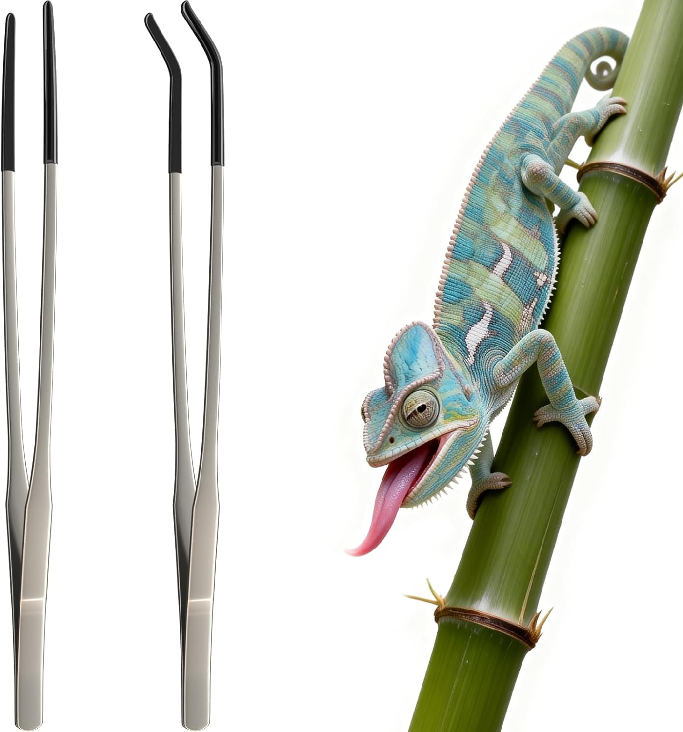 2 Buah Penjepit Makanan Reptil - Feeding Tong Stainless ulasan dan harga