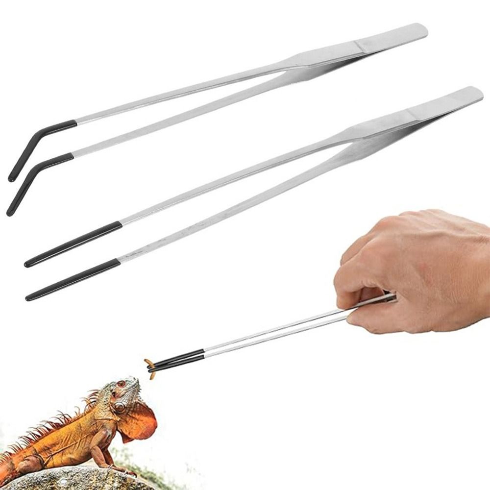 2 Buah Pinset Pemberi Makan Ak - Feeding Tong Stainless ulasan dan harga