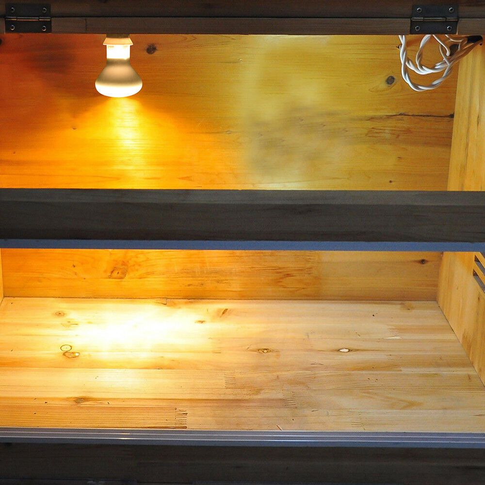 Pengontrol Suhu Pemanas Kadal  - Basking Bulb Halogen ulasan dan harga