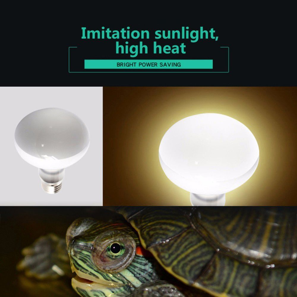 Pengontrol Suhu Lampu Pemanas  - Basking Bulb Halogen ulasan dan harga