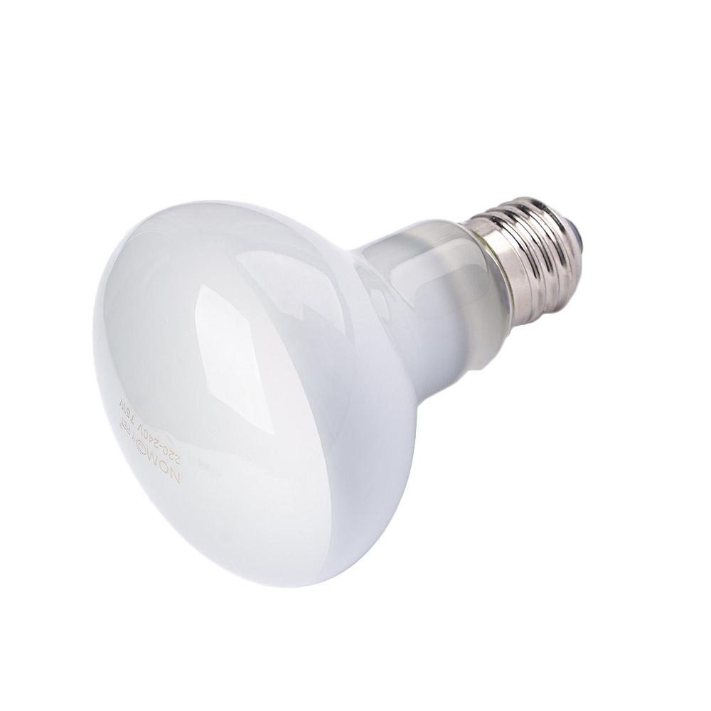 Pengontrol Suhu Lampu Pemanas  - Basking Bulb Halogen ulasan dan harga